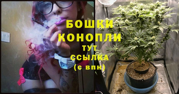 дурь Богородск