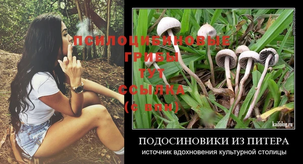 трава Богородицк