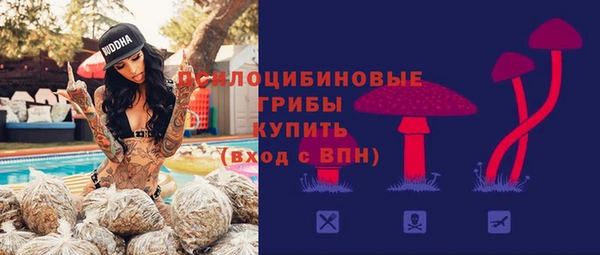 трава Богородицк