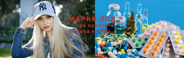 трава Богородицк