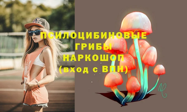 дурь Богородск