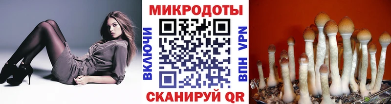 купить наркотики цена  Называевск  kraken маркетплейс  Галлюциногенные грибы мицелий 
